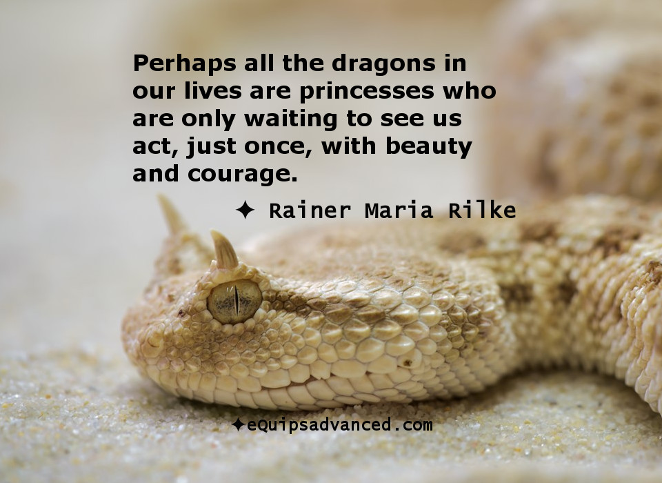 AllTheDragons-Rilke