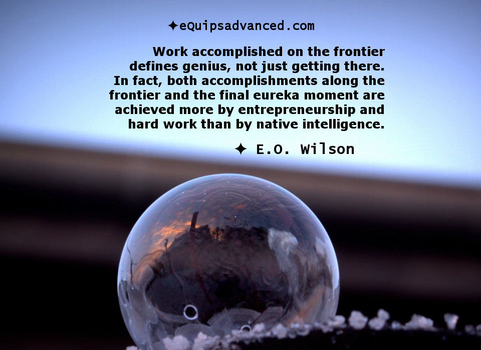 Entreprenuership-Wilson